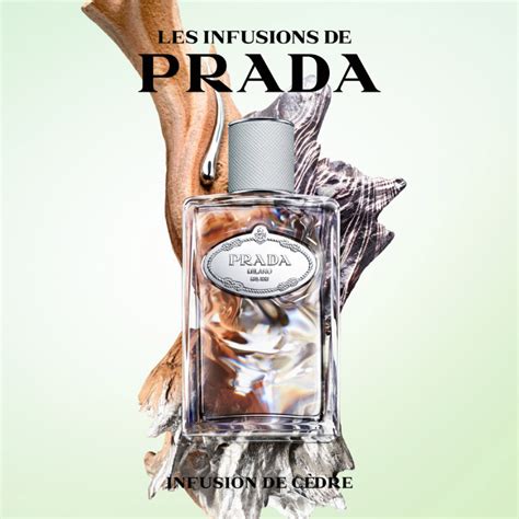 prada infusion de rose review|Prada infusion cedar.